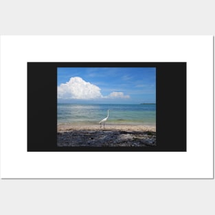 Get out of my way or you'll Egret it. Sanibel Island Egret Fort Myers Florida Posters and Art